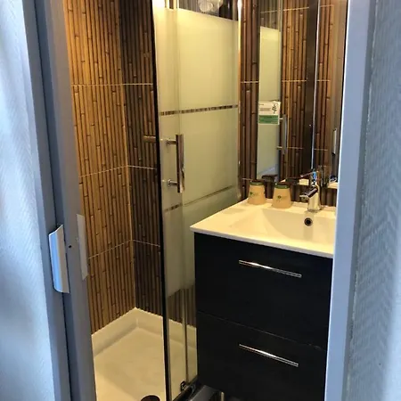 里歇家庭旅馆 酒店 莱萨布勒-多洛讷