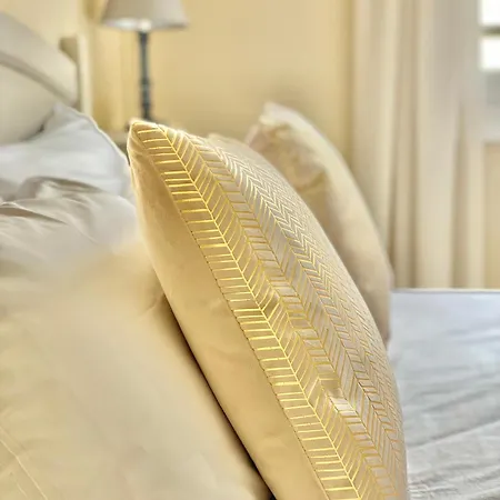 メゾン リシェ ホテル レ・サ​​ーブル・ドロンヌ